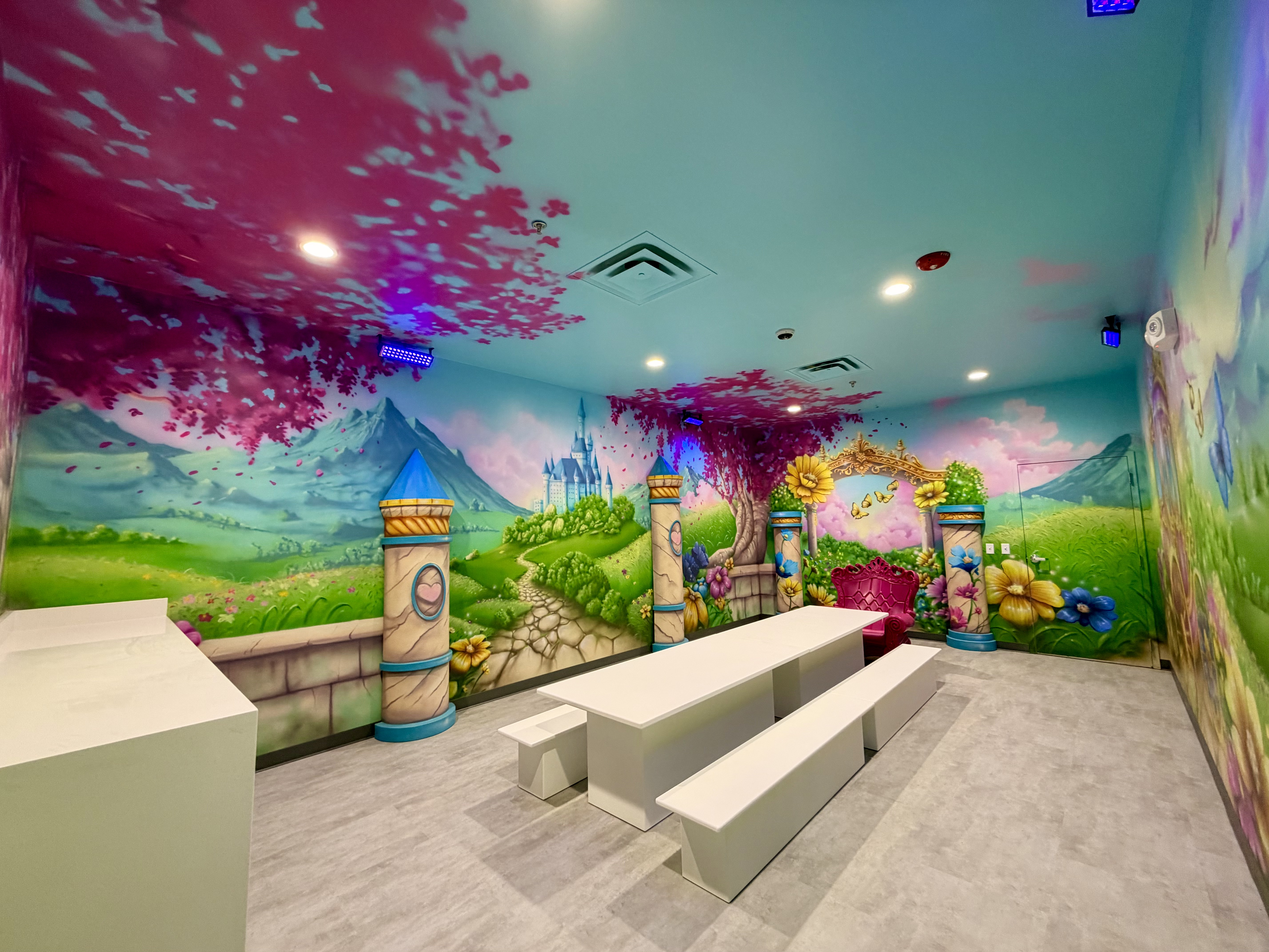 Princess Room Themed Room